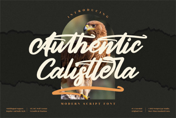 Authentic Calisttera: A Brush Script Font for Handmade Products