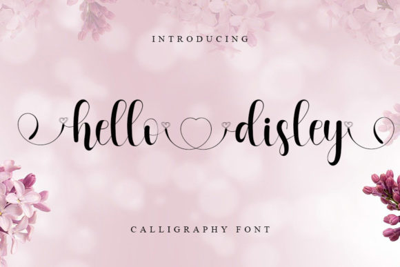 Hello Disley: A Handwritten Font That Elevates Your Campaign Style