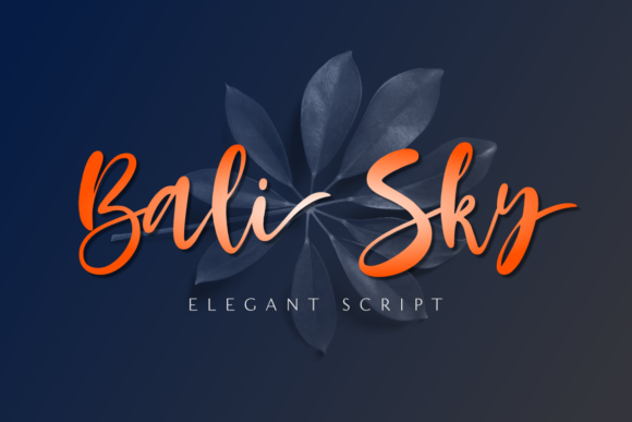 How Bali Sky Font Helped My Small Business Look Polished
