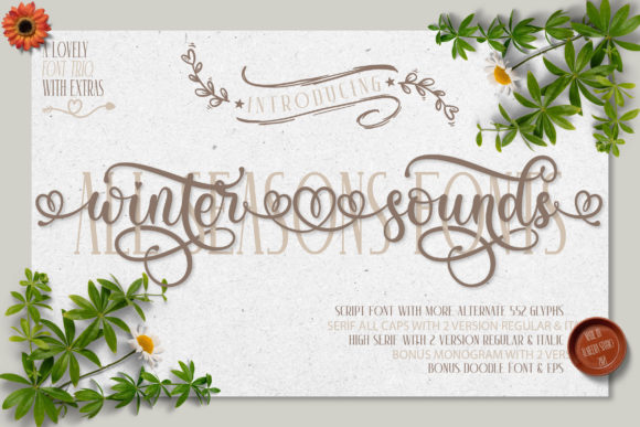 Winter Sounds: A Script Font with Editorial Warmth